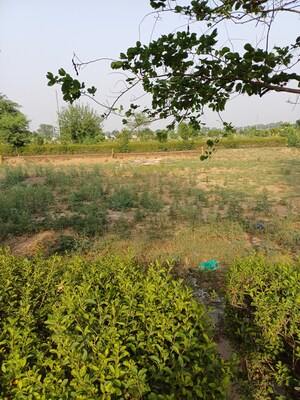  Plot For Sale in Jewar