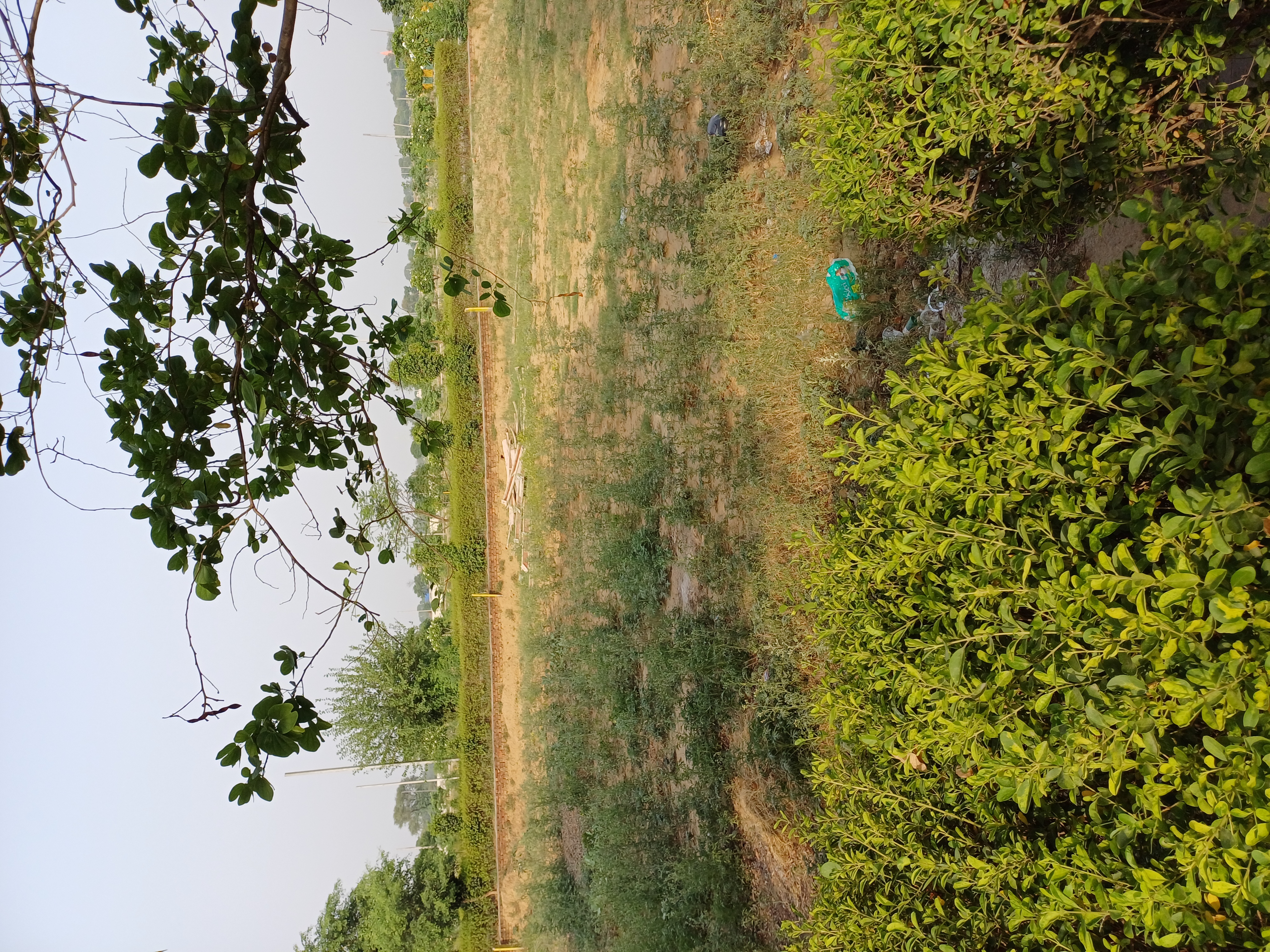 Plot For Sale in Harit City 