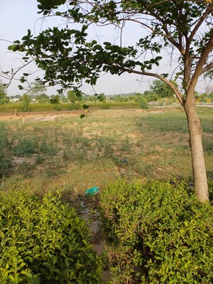  Plot For Sale in Jewar
