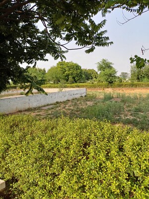  Plot – Exterior View View at Jewar - for Sale