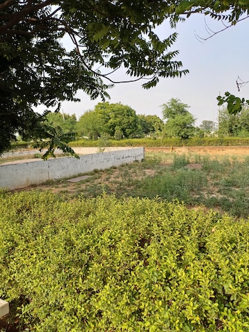  Plot – Exterior View View at Jewar - for Sale