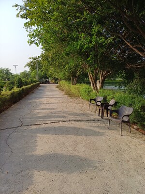  Plot – Exterior View View at Jewar - for Sale