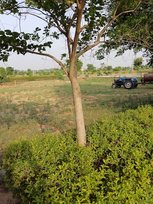  Plot – Exterior View View at Jewar - for Sale