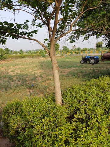  Plot – Exterior View View at Jewar - for Sale