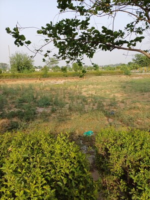  Plot – Exterior View View at Jewar - for Sale