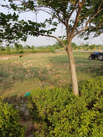  Plot – Exterior View View at Jewar - for Sale