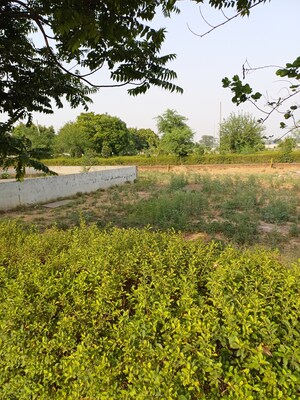  Plot For Sale in Jewar