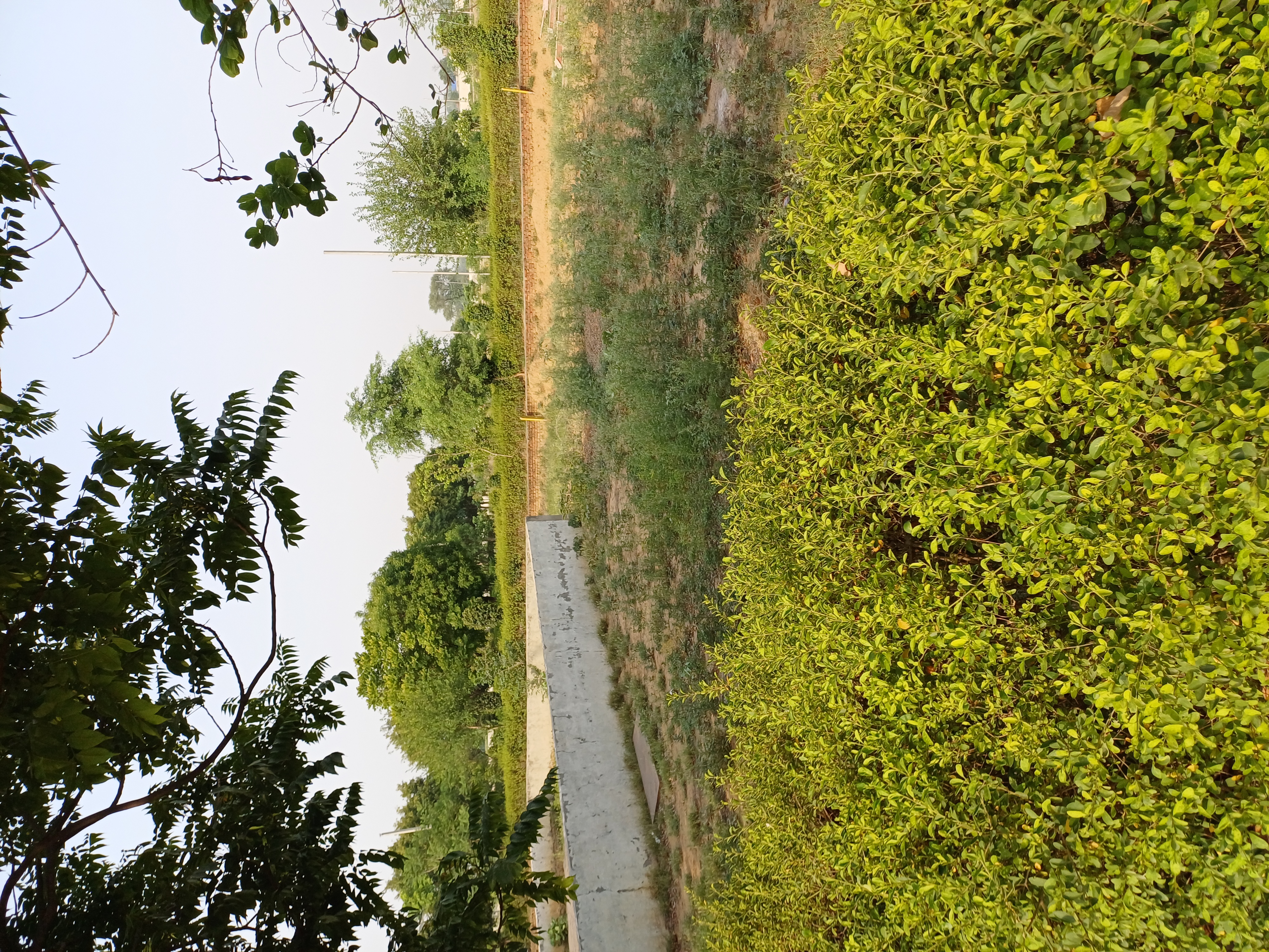 Plot For Sale in Harit City 