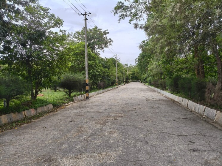 Garden, ferns-north-star  2600 Sq.Ft. Plot In Devanahalli Bangalore 8725952