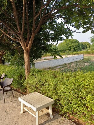  Plot – Garden View at Jewar - for Sale