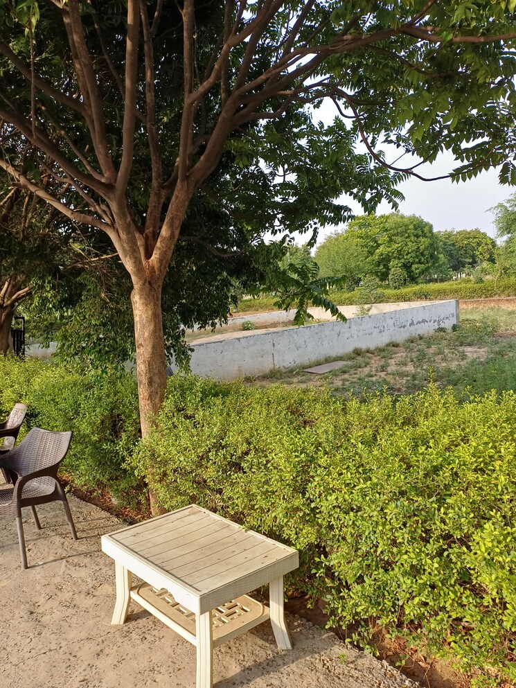 Garden, jewar  133 Sq.Yd. Plot In Jewar Greater Noida 8743393