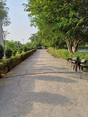  Plot For Sale in Jewar