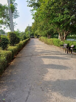  Plot – Exterior View View at Jewar - for Sale