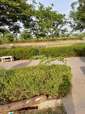  Plot For Sale in Jewar