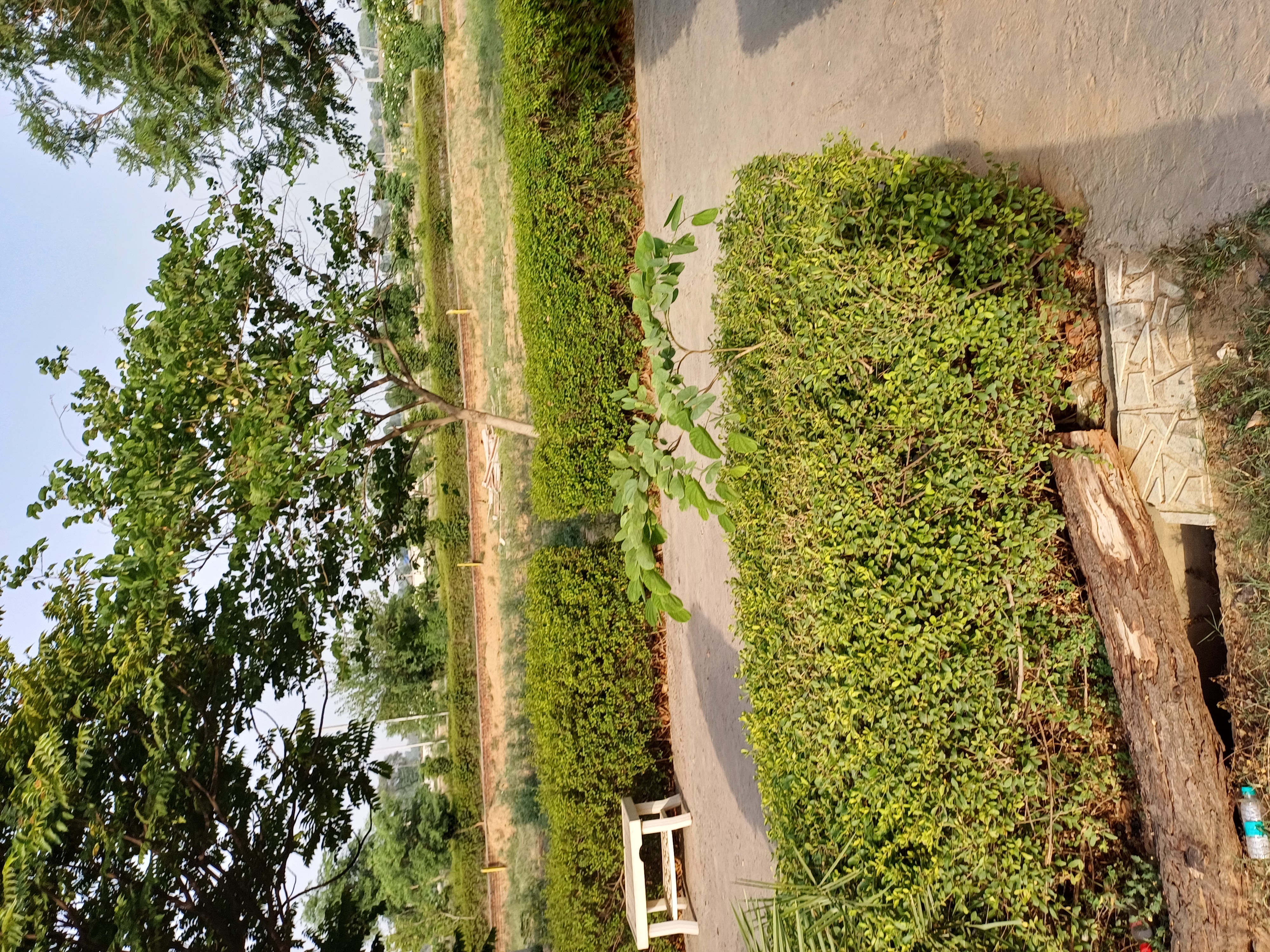 Plot For Sale in Harit City 