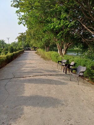  Plot – Exterior View View at Jewar - for Sale