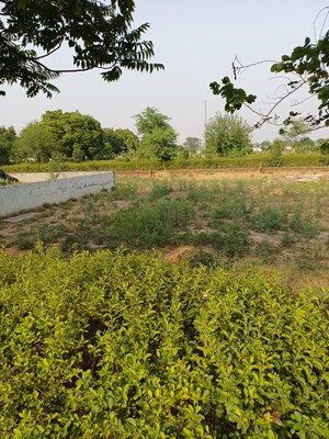  Plot – Garden View at Jewar - for Sale