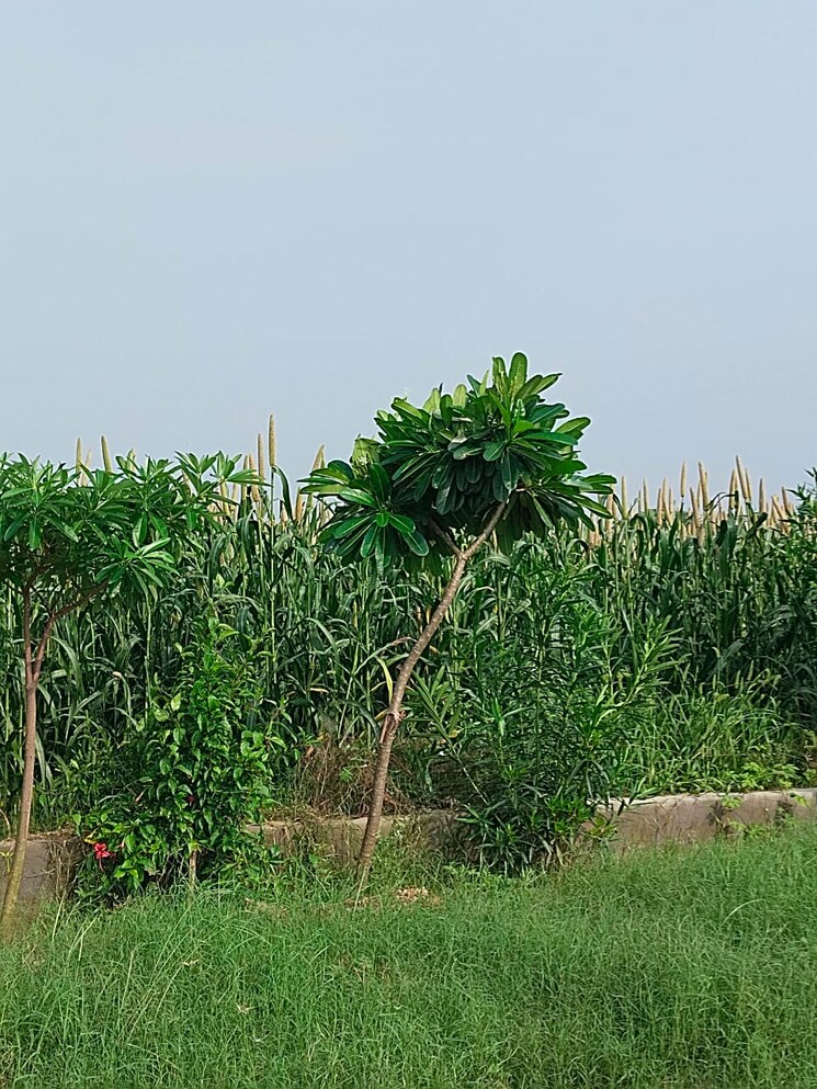 undefined, srisailam highway  3276 Sq.Ft. Plot In Srisailam Highway Hyderabad 8743553