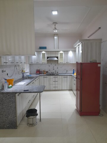 Kitchen in 3 BHK Builder Floor at Ansal Plaza Sector-23, Sector 23 – for Rent