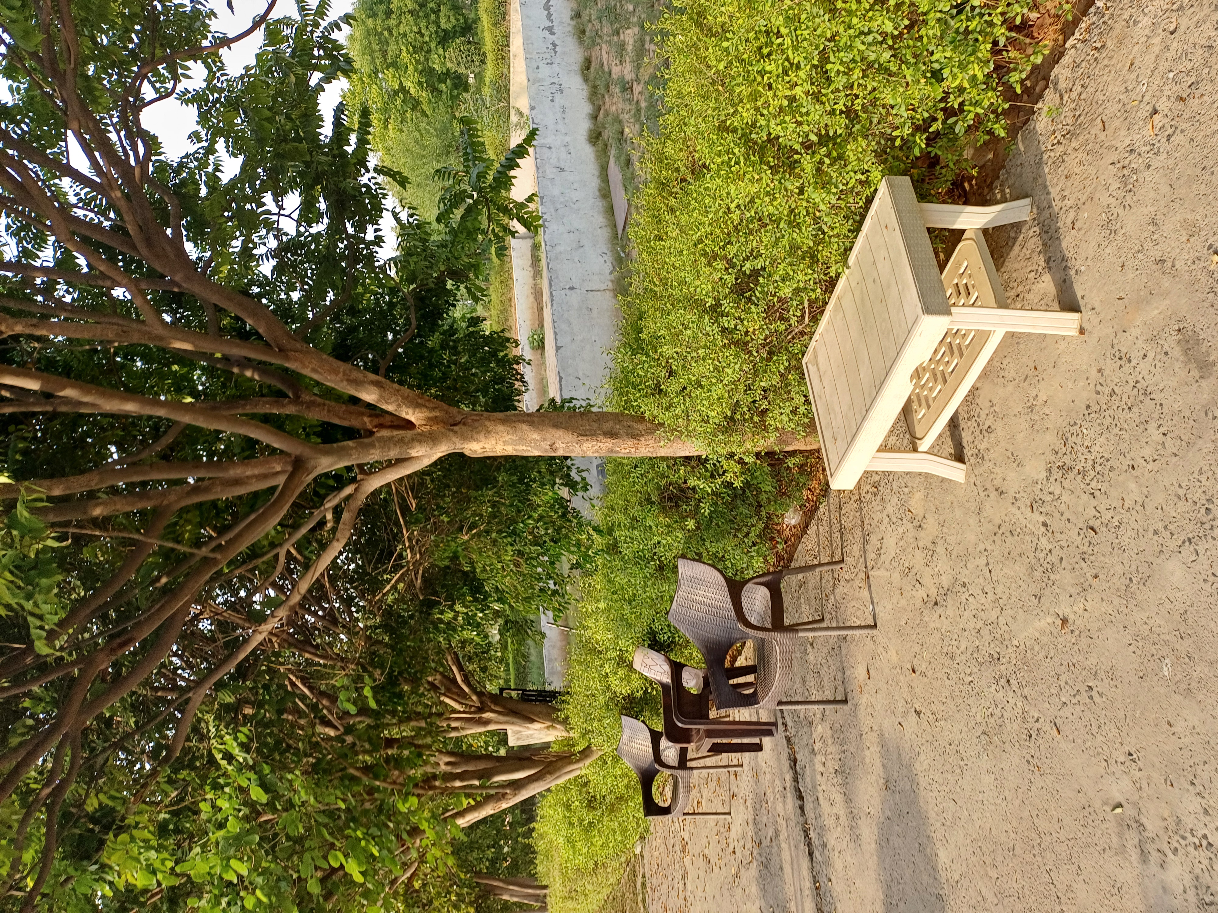 Plot For Sale in Harit City 