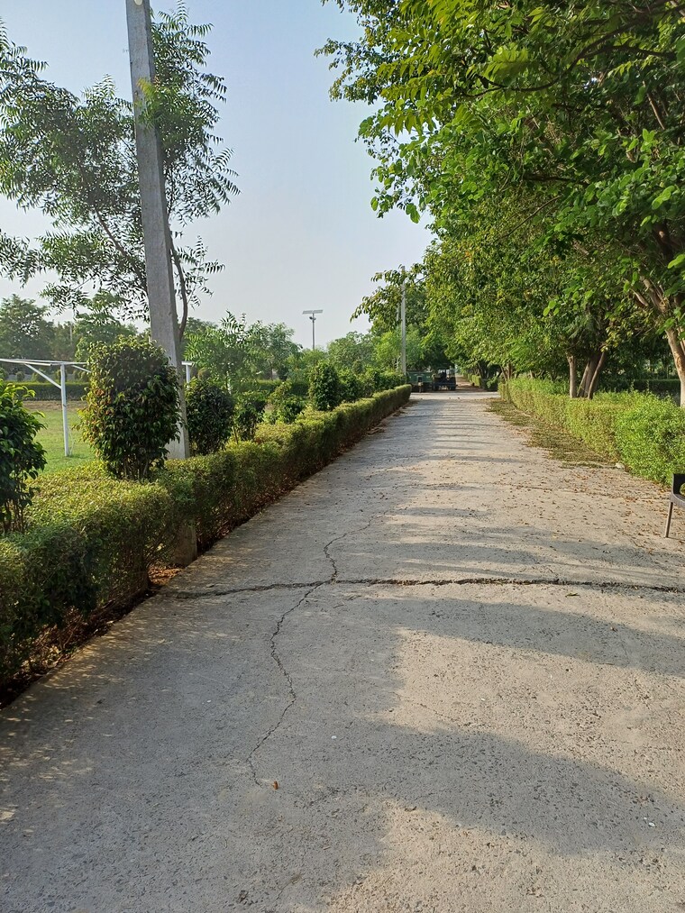 Garden, jewar  135 Sq.Yd. Plot In Jewar Greater Noida 8743864