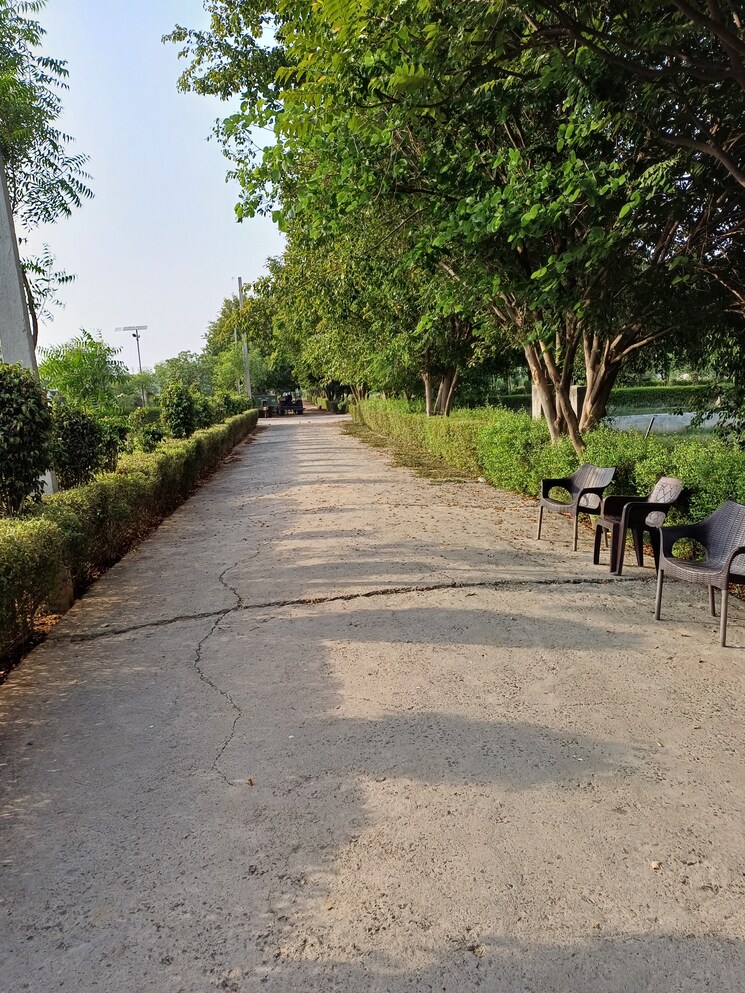 Exterior View, jewar  135 Sq.Yd. Plot In Jewar Greater Noida 8743864