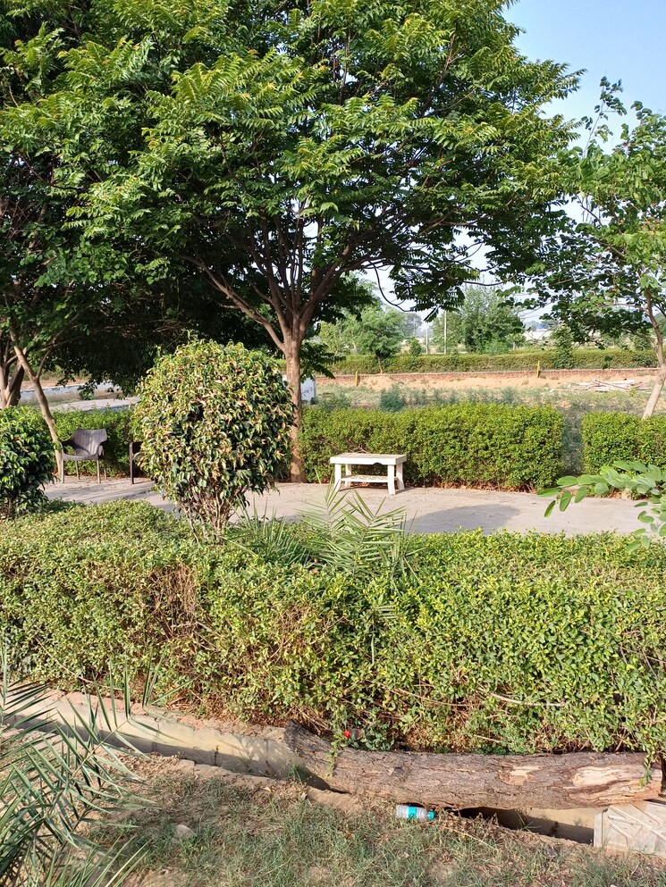 Garden, jewar  135 Sq.Yd. Plot In Jewar Greater Noida 8743864