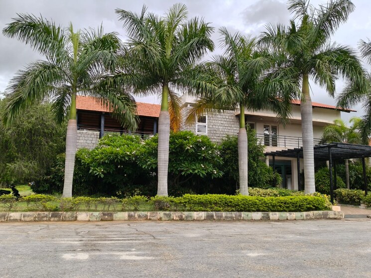 Garden, ferns-north-star  2600 Sq.Ft. Plot In Devanahalli Bangalore 8725952