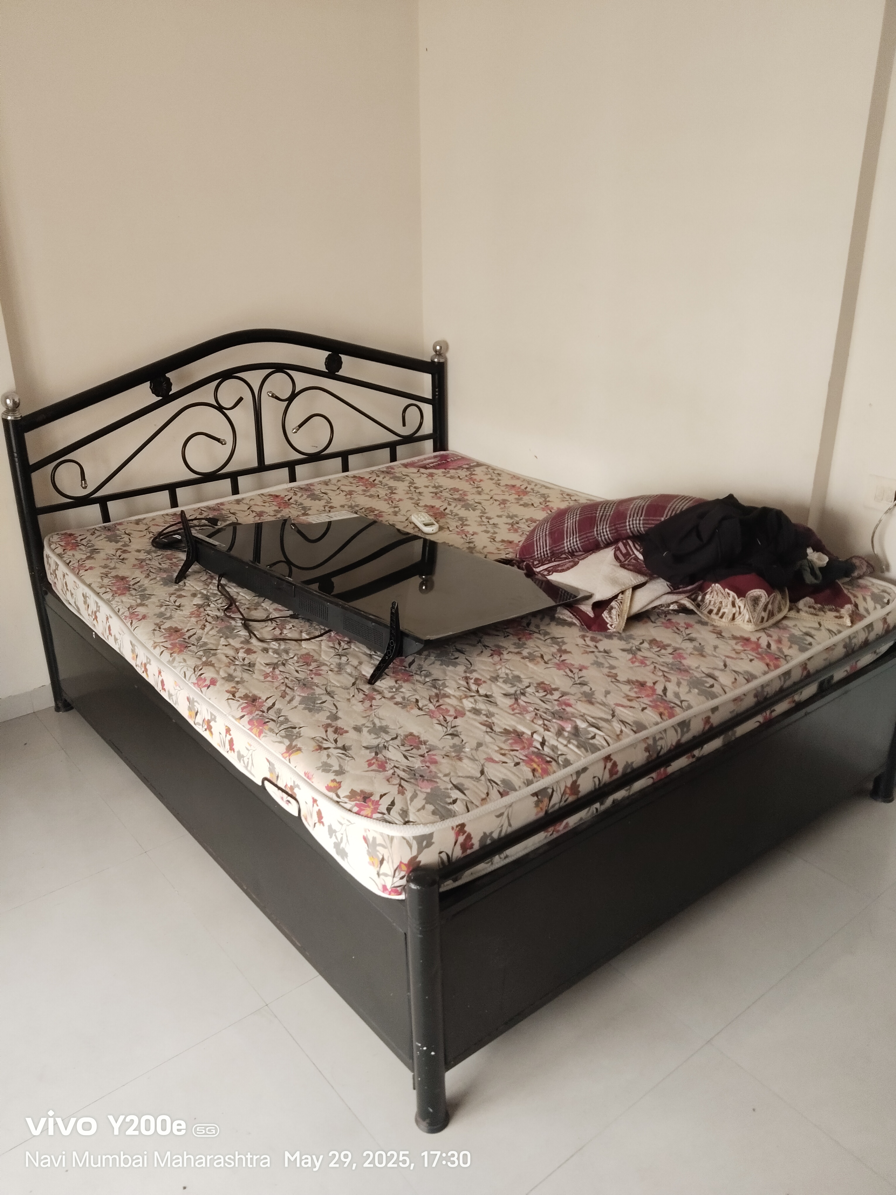 1 BHK Apartment For Rent in Swaraj Bella Vista