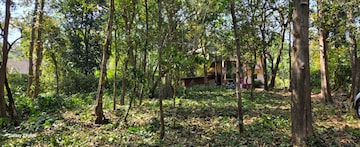  Plot For Sale in Margao
