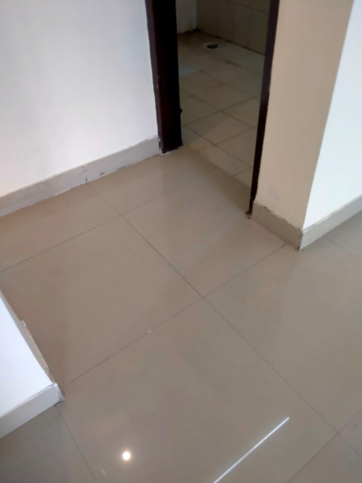 Room, vasant kunj 3 Bedroom 1500 Sq.Ft. Apartment In Vasant Kunj Delhi 8745123