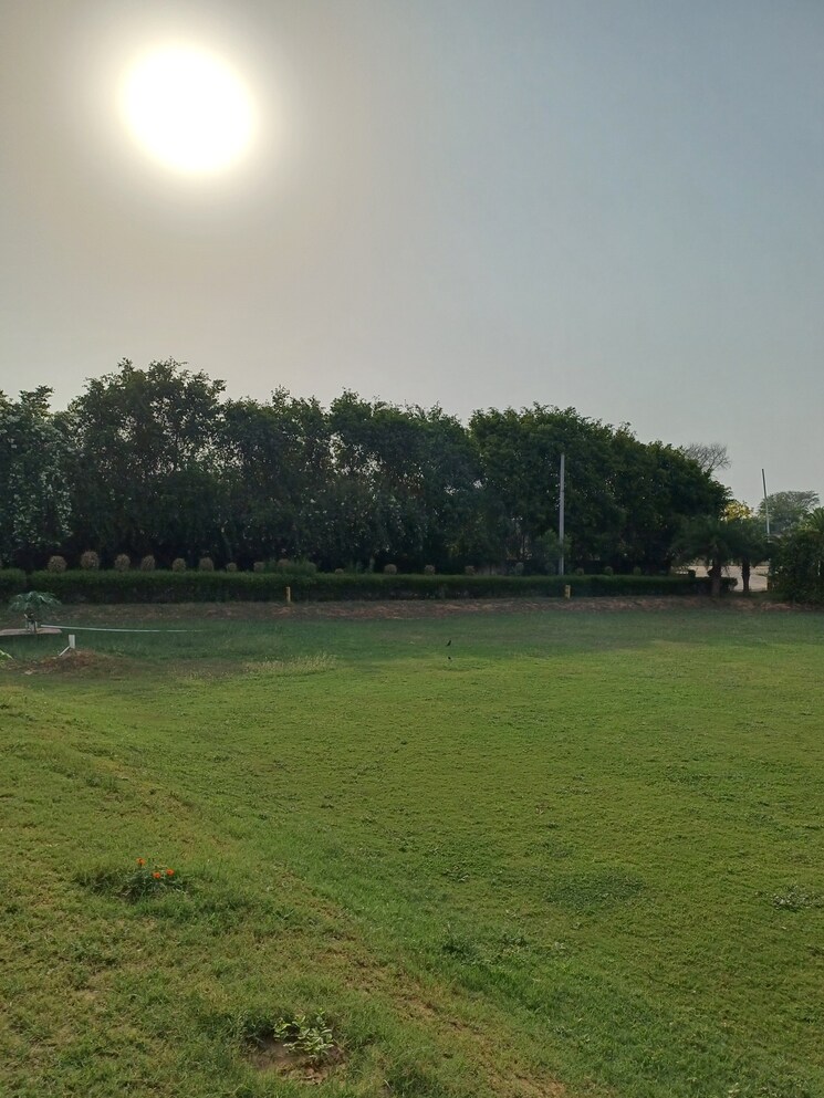 Garden, jewar  137 Sq.Yd. Plot In Jewar Greater Noida 8745723