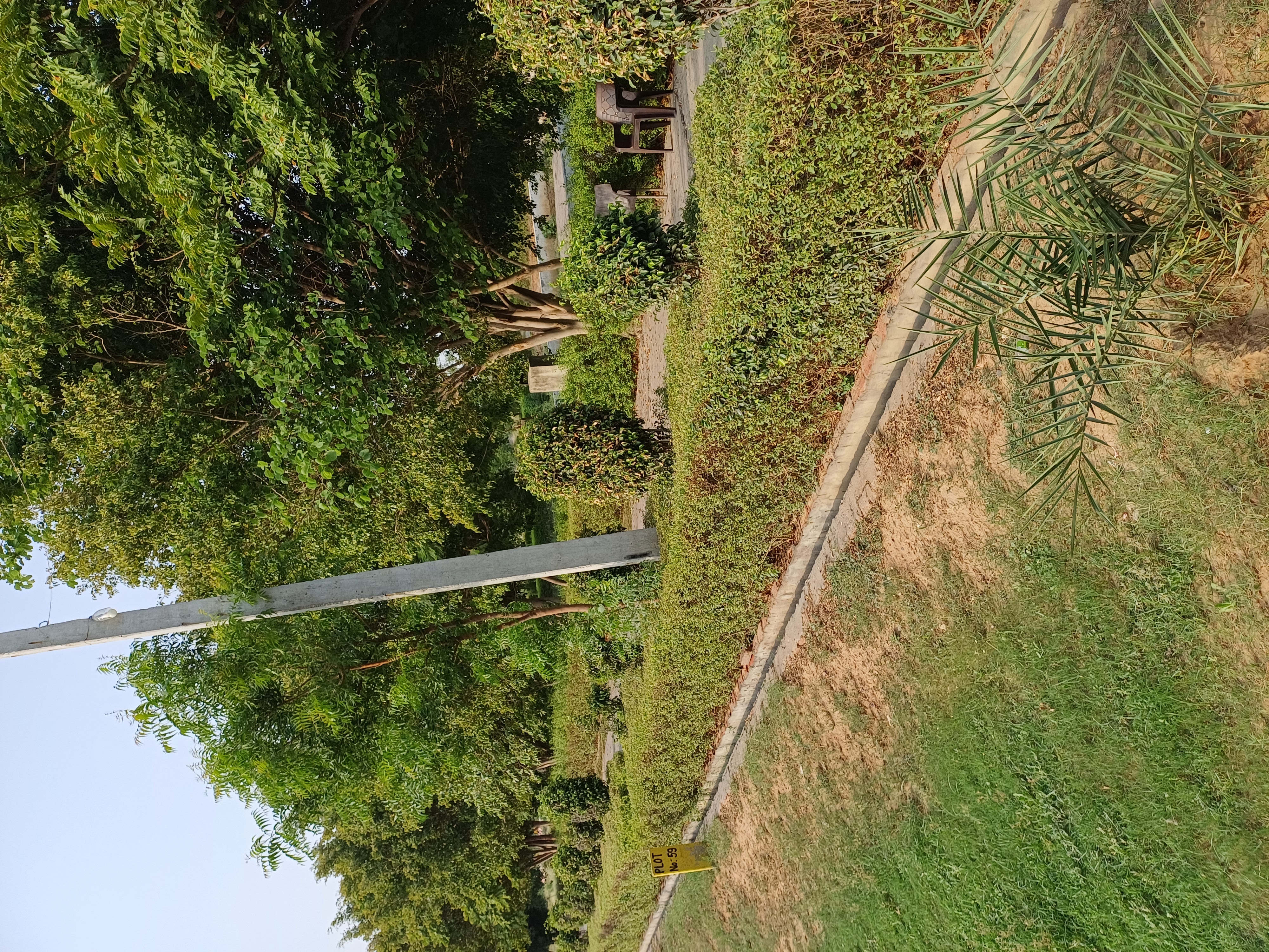 Plot For Sale in Harit City 