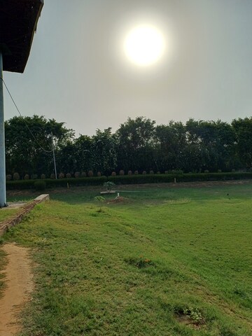  Plot – Garden View at Jewar - for Sale