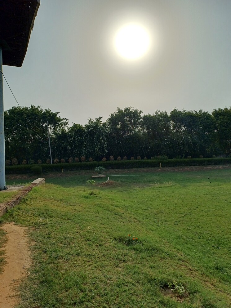 Garden, jewar  138 Sq.Yd. Plot In Jewar Greater Noida 8745790