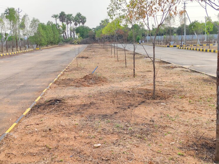 undefined, bbg-true-gold  165 Sq.Yd. Plot In Shadnagar Hyderabad 8746312