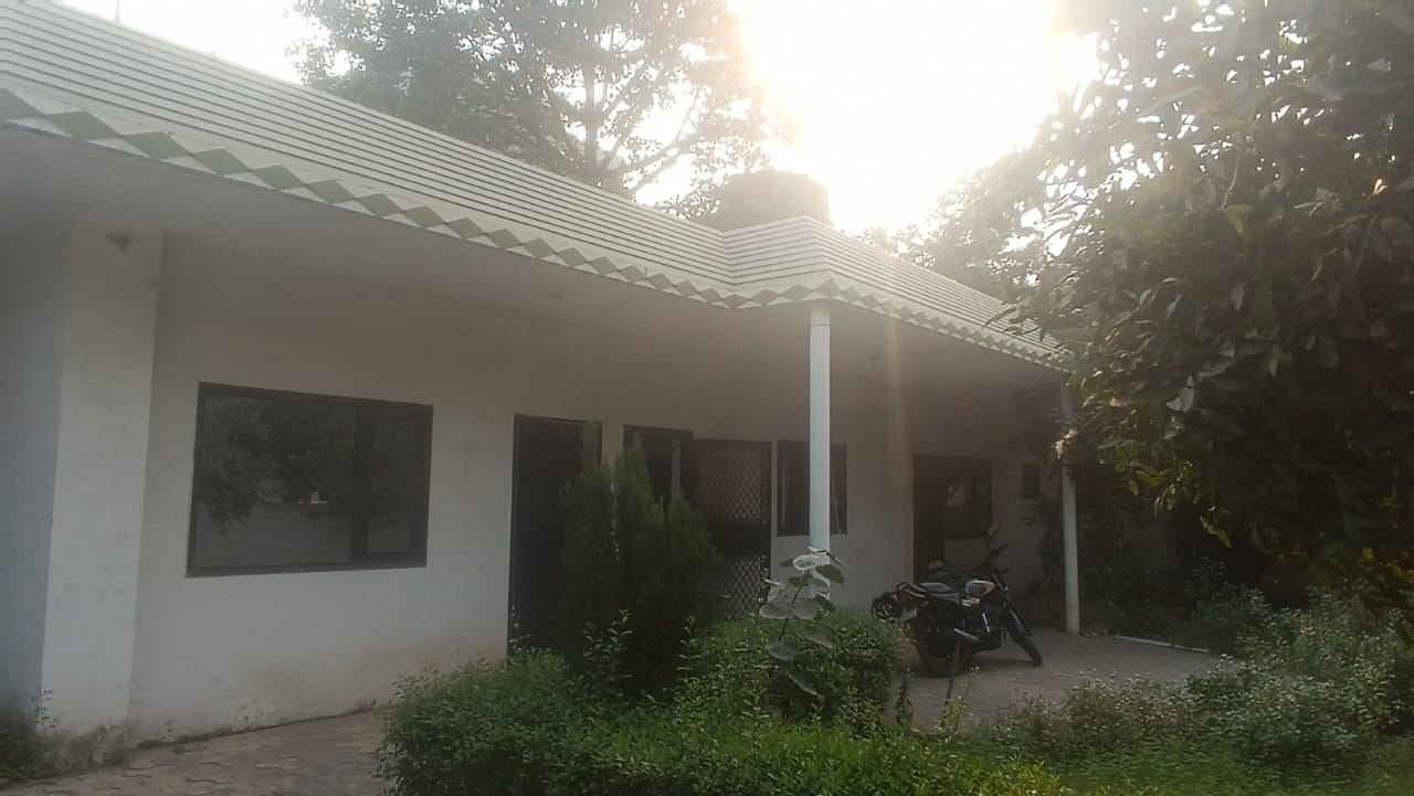 Plot For Sale in RWA Apartments Sector 50