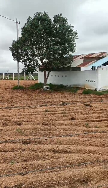  Land – Exterior View View at Talakondapalle - for Sale