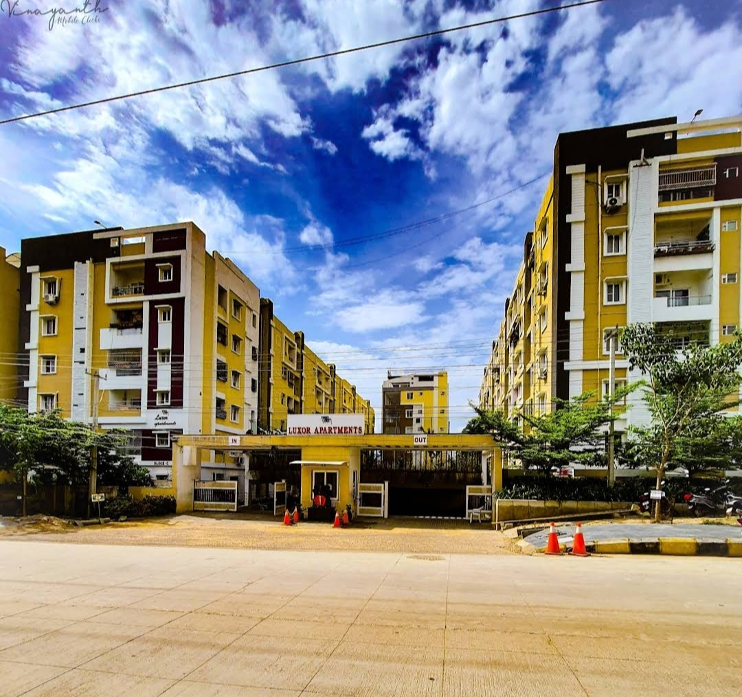 2 BHK Apartment For Rent in Luxor Apartment