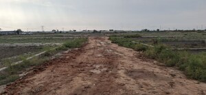  Plot For Sale in Jewar