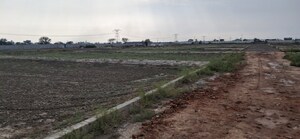 Plot Area in  Plot at Jewar – for Sale