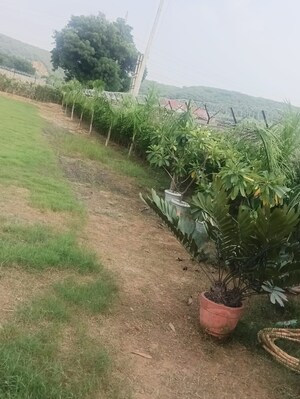  Plot For Sale in Unitech Arcadia, South City 2