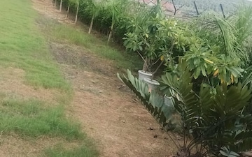 Plot For Sale in Unitech Arcadia, South City 2
