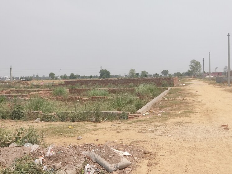 undefined, sector 136  900 Sq.Ft. Plot In Sector 136 Noida 8747528