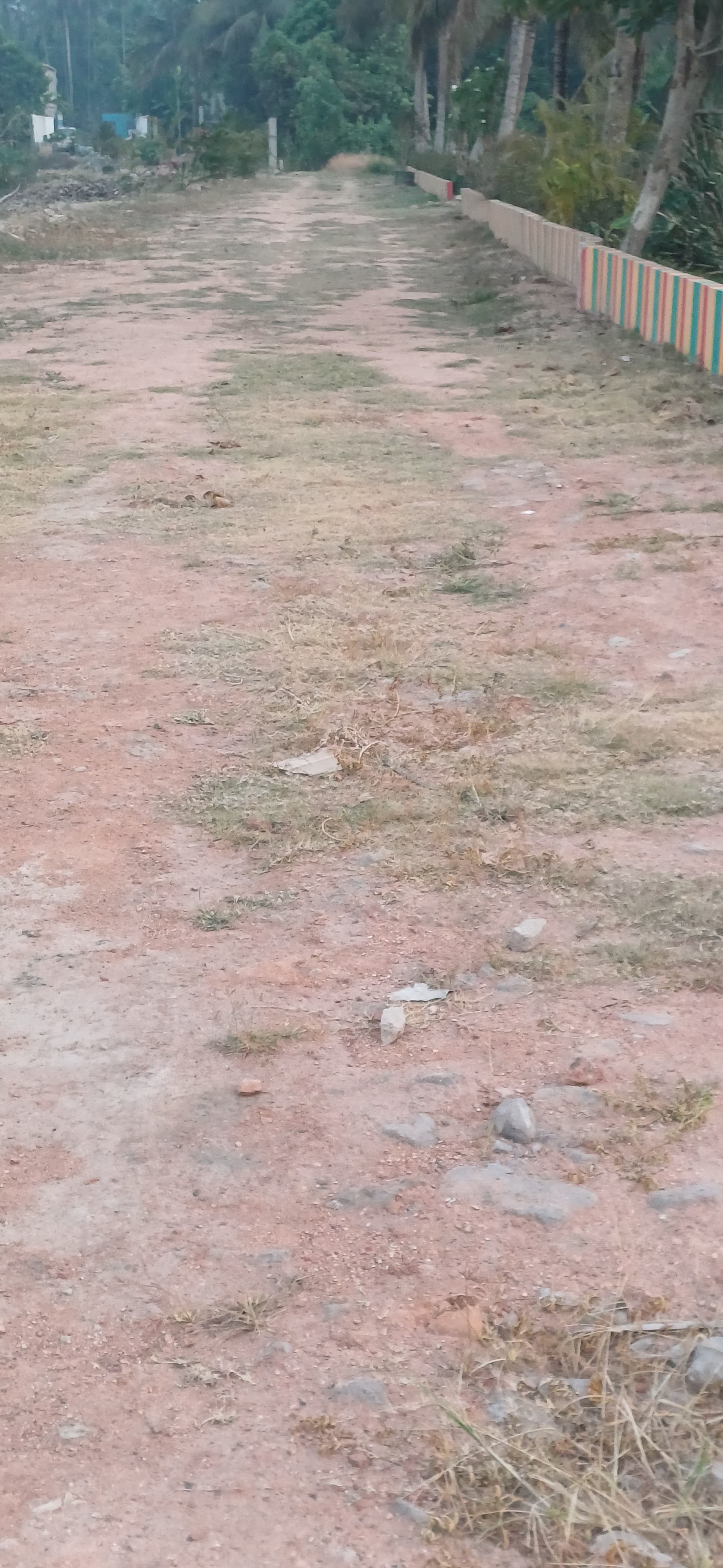 Plot For Sale in Nature Paradise 