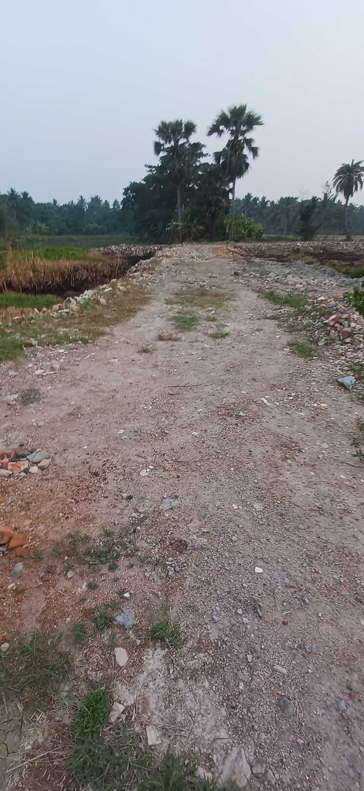 undefined, joka  3600 Sq.Ft. Plot In Joka Kolkata 8747578