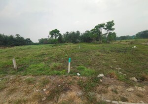 Plot Area in  Plot at Joka – for Sale