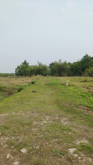 Plot Area in  Plot at Joka – for Sale