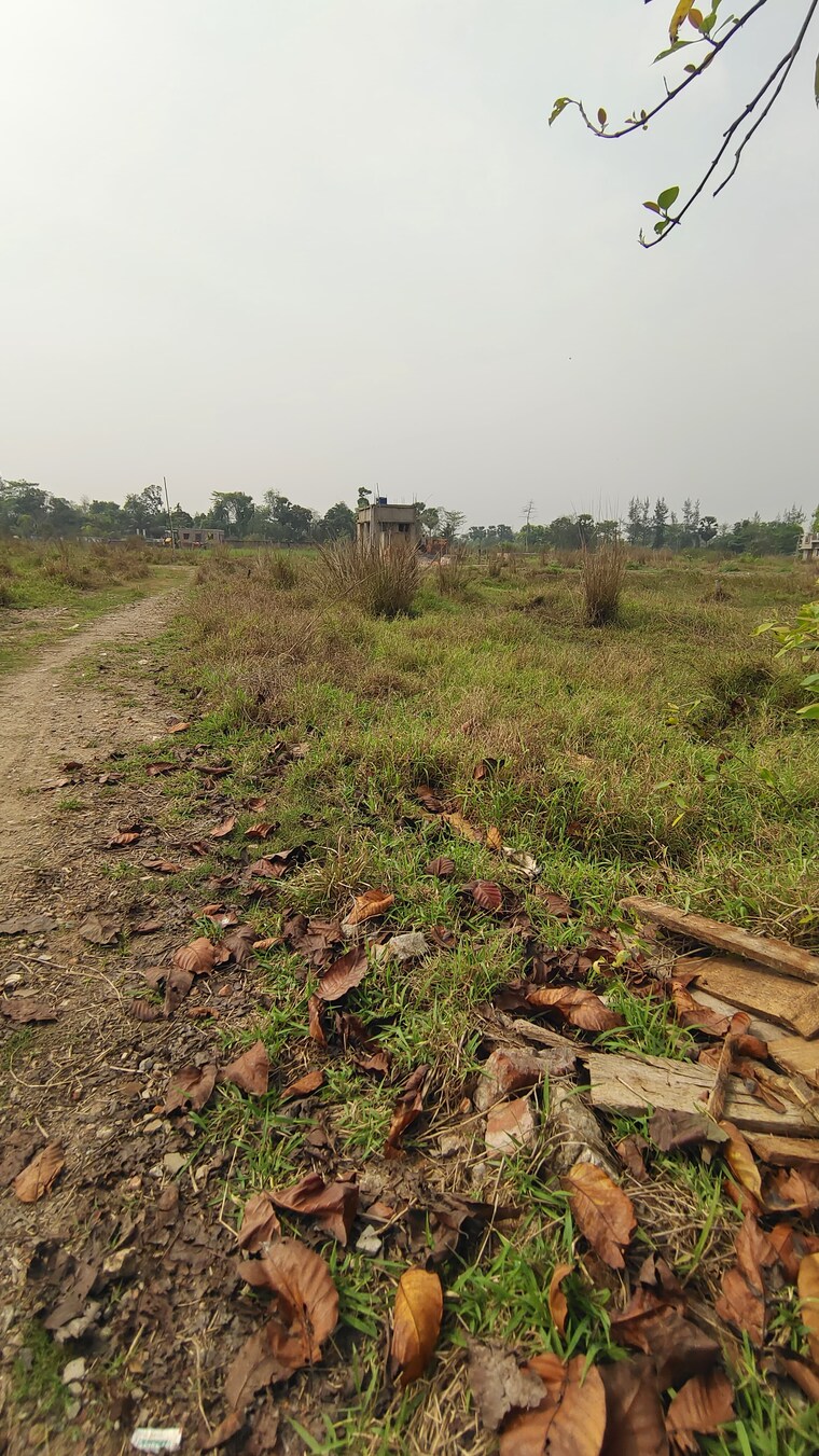 undefined, joka  3600 Sq.Ft. Plot In Joka Kolkata 8747578