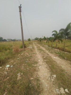 Plot Area in  Plot at Joka – for Sale